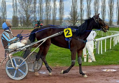 2024 03 21 Av O IMG 6798 Fantastic