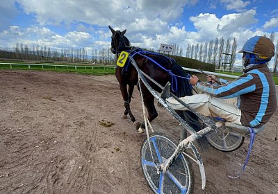 2024 03 21 Av O IMG 6830 Fantastic