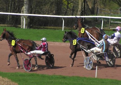 2024 03 21 Av O S8250057 Fantastic