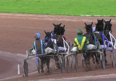 2024 03 21 Av O S8250063 Fantastic