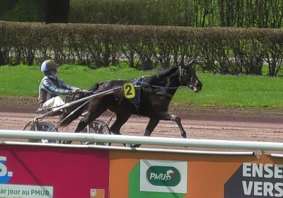 2024 03 21 Av O S8250066 Fantastic