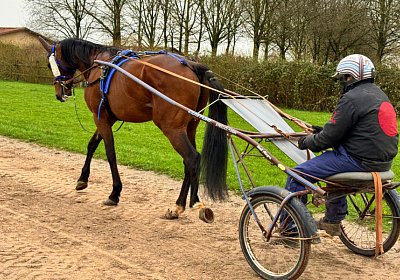 2024 03 30 Av IMG 7200 Espada