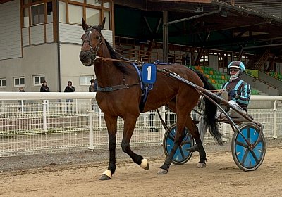 2024 03 30 Av L IMG 7303 Divina