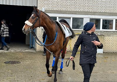 2024 04 01 Frauenfeld IMG 7513 Fandango