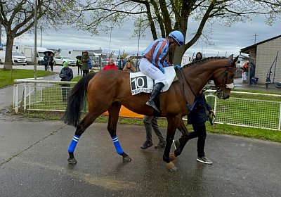 2024 04 01 Frauenfeld IMG 7571 Fandango