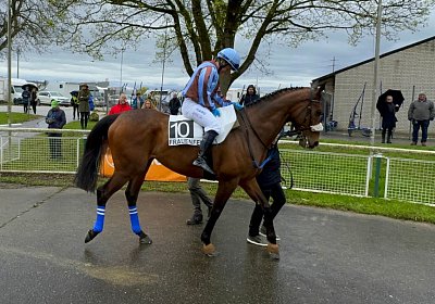 2024 04 01 Frauenfeld IMG 7572 Fandango