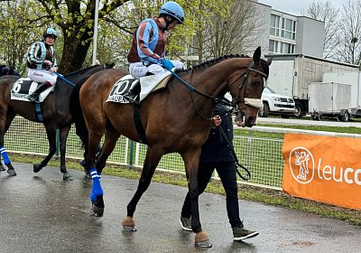 2024 04 01 Frauenfeld IMG 7580 Fandango