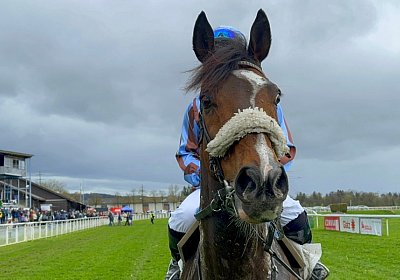 2024 04 01 Frauenfeld M IMG 7630 Fandango