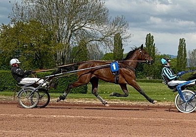 2024 04 24 Av IMG 9084 Divina