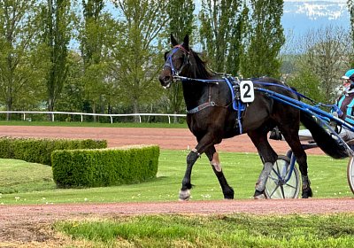 2024 04 24 Av K IMG 9127 Jack