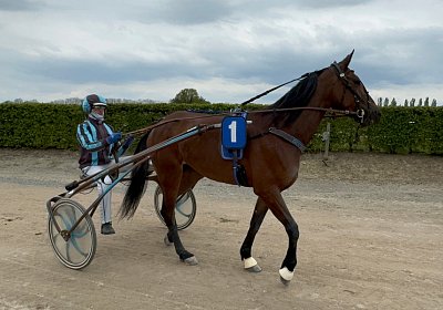 2024 04 24 Av K IMG 9133 Divina