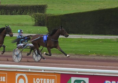 2024 04 24 Av K S8320031 Divina