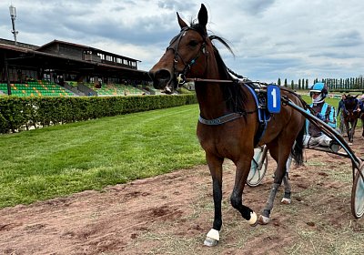 2024 04 24 Av L IMG 9137 Divina