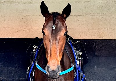 2024 04 26 Vincennes IMG 9253 Maggiore