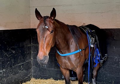 2024 04 26 Vincennes IMG 9256 Maggiore