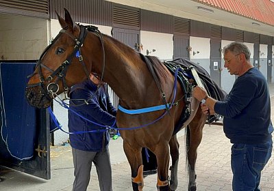 2024 04 26 Vincennes IMG 9268 Maggiore