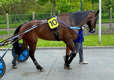 2024 04 26 Vincennes IMG 9280 Maggiore