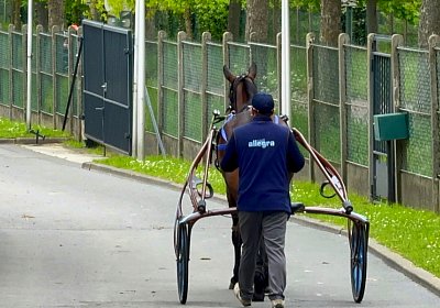 2024 04 26 Vincennes IMG 9331 Maggiore
