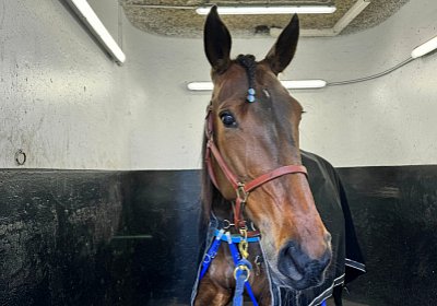 2024 04 26 Vincennes IMG 9341 Maggiore