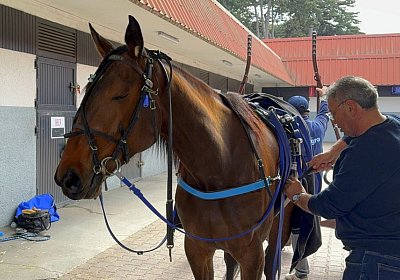 2024 04 26 Vincennes IMG 9355 Maggiore