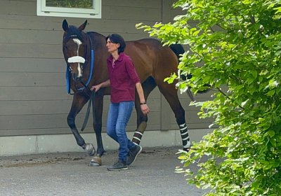 2024 05 05 Dielsdorf IMG 9953 Fandango