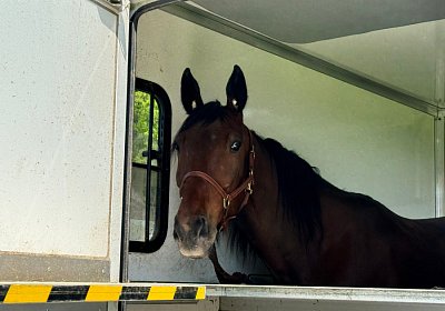 2024 05 12 Aarau IMG 0652