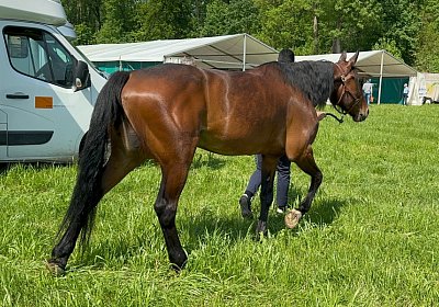 2024 05 12 Aarau IMG 0687