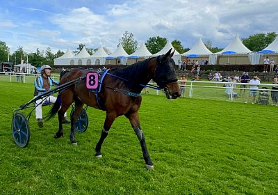 2024 05 12 Aarau IMG 0953 Noon