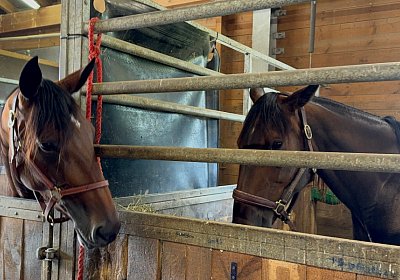 2024 06 30 Baden IMG 3685