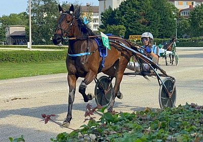 2024 06 30 Baden IMG 3864 Maggiore