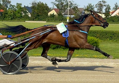 2024 06 30 Baden IMG 3883 Maggiore