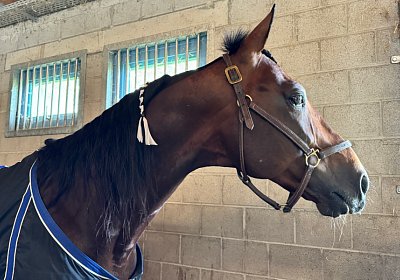 2024 07 22 Daglfing IMG 5104 Alcide