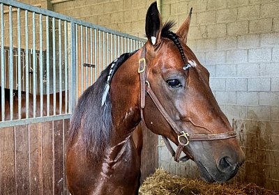 2024 07 22 Daglfing IMG 5247 Alcide