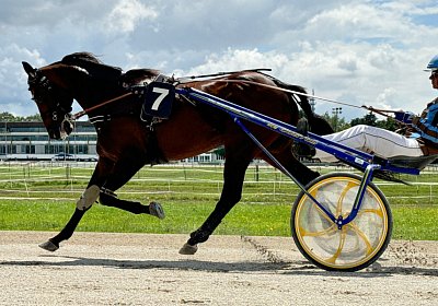 2024 07 22 Daglfing IMG 5364 Alcide