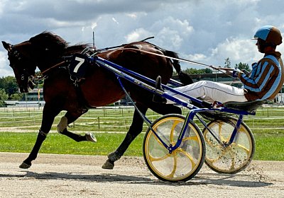 2024 07 22 Daglfing IMG 5365 Alcide