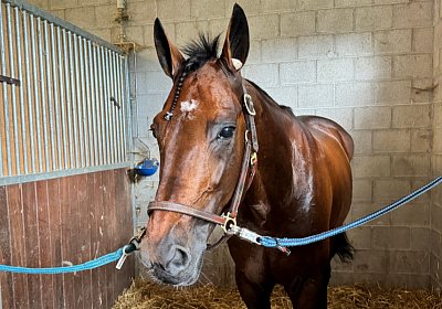 2024 07 22 Daglfing IMG 5499 Alcide