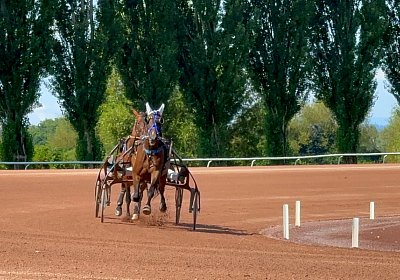 2024 07 23 Avenches IMG 5534 Midnight Divina