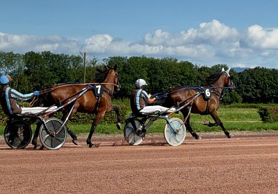 2024 07 23 Avenches IMG 5563 Midnight Divina