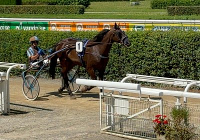 2024 07 23 Avenches IMG 5657 Jack