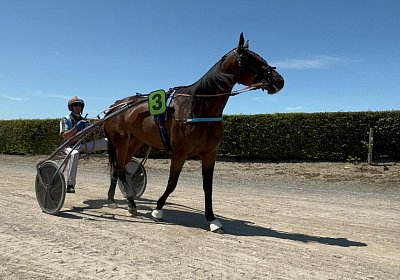 2024 07 23 Avenches IMG 5706 Maggiore