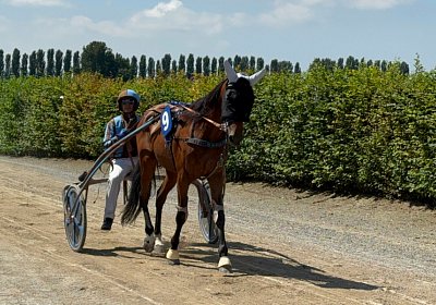 2024 08 20 Avenches Divonne L IMG 8020 Espada