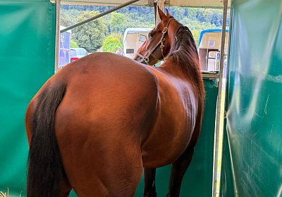 2024 08 25 Aarau IMG 8301 Alcide