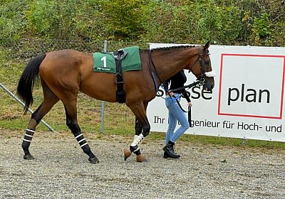 2024 08 25 Aarau IMG 8361 Fandango