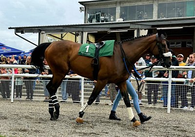 2024 08 25 Aarau IMG 8366 Fandango