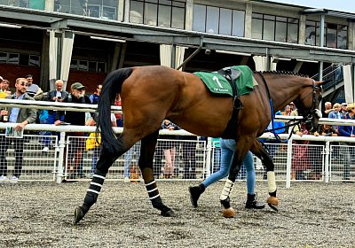 2024 08 25 Aarau IMG 8367 Fandango