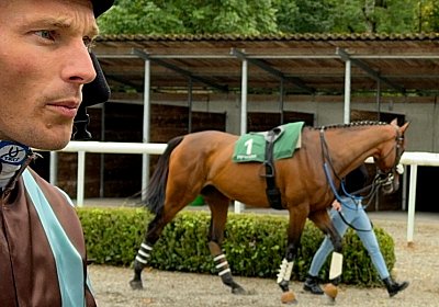 2024 08 25 Aarau IMG 8376 Fandango