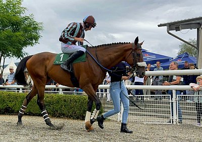 2024 08 25 Aarau IMG 8384 Fandango