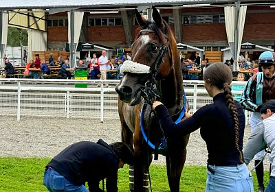 2024 08 25 Aarau IMG 8397 Fandango