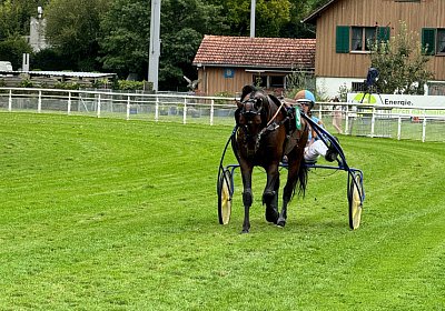 2024 08 25 Aarau IMG 8400 Alcide