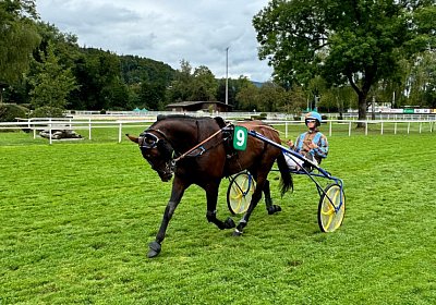2024 08 25 Aarau IMG 8403 Alcide